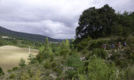 06 - Pèlerins