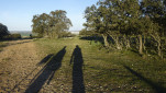 03 - Grandes ombres sur le chemin