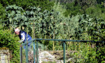 17 - Boente de Arriba