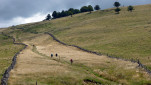 43 - Dernière montée vers Aubrac