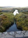 12 - Ruisseau de la Peyrade