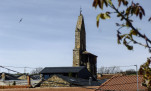 21 - Clocher et hirondelle
