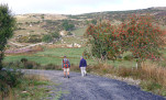 06 - Paysage granitique