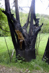 04 - Traces d'incendie