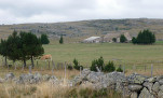 21 - Ferme