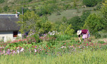 08 - Le plus beau jardin