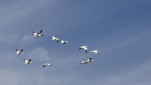 39 - Heureux d'arriver
