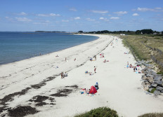 15 juillet : St Gildas