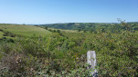 36 - Nouveaux paysages