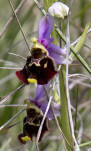 c5d25583a