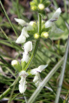 c5d25551a