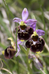 c5d25606