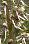 c5d25547a