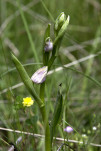 c5d25553