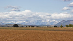 c5h44735