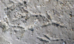 18 - Traces en haut relief