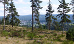 15 - Au loin, St alban