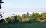 04 - Brumes matinales