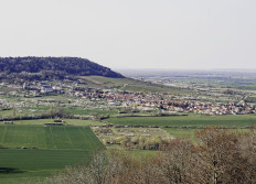 01 - Printemps sur la Côte de Barine