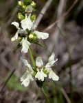 c5d25536a