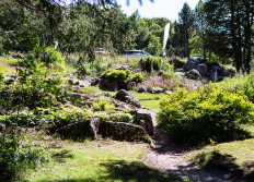 20 - Chitlet - Honneck - 11 juillet 2022