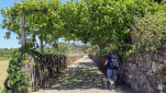 21 - Tunnel de treilles
