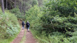 14 - Beau chemin en sous-bois