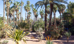 29 - Le parc de la villa Majorelle