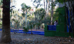 20 - Le parc de la villa Majorelle