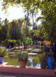 31 - Le parc de la villa Majorelle