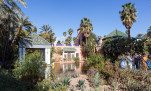 30 - Le parc de la villa Majorelle