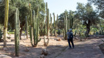26 - Jardin public