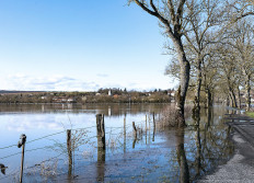 08 - Crue de la Meuse à Ourche - 2020