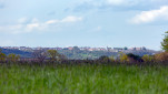 c5h53292