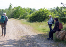 30 - Etangs de Roville - 18 mai 2023