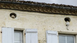 36 - Même dans les greniers