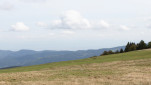c5h54760