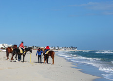 02 - La plage, vers le Sud - 24 janvier