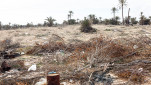 29 - Le no mans land de la dune