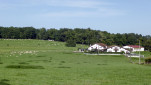17 - Ferme basque
