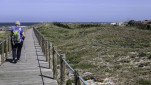14 - Reprise des planches