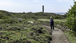 29 - Marie en chemin