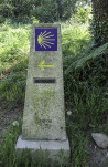 tzh2227