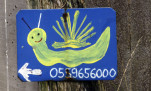 15 - Le célèbre Escargot