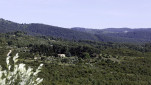 c5h56951