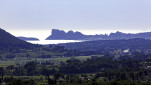 c5h56953