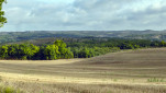 04 - Paysage agricole