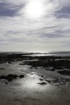 c5h58976